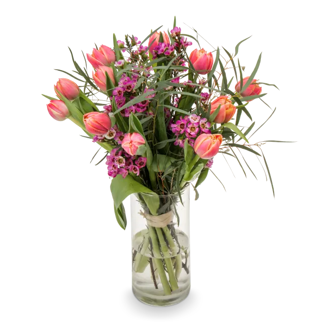 Bouquet of tulips in full bloom